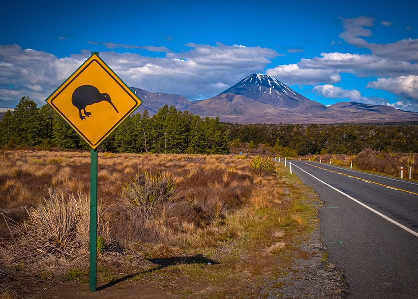 Benefits of Local Stock for Car Scan Tools in New Zealand